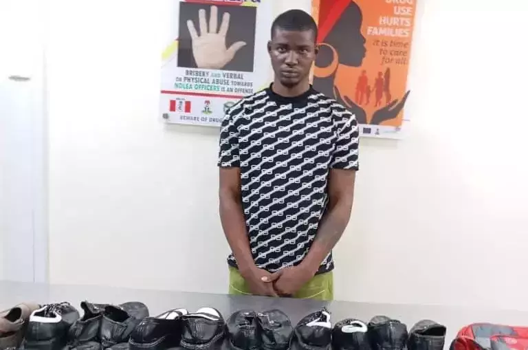 News NDLEA bust syndicate exporting N16.6bn worth of opioids, drugs